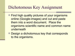 Dichotomous Key Assignment Find high quality pictures of your organisms online (Google-images) and cut and paste them into a word document.  Place the organisms scientific name and common name underneath Design a dichotomous key that corresponds to the organisms. 