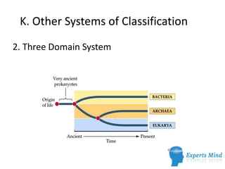 K. Other Systems of Classification
2. Three Domain System
 