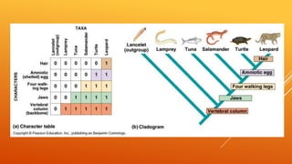 Taxonomy | PPTX