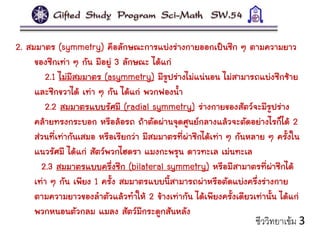 2. สมมาตร (symmetry) คือลักษณะการแบ่งร่างกายออกเป็นซีก ๆ ตามความยาว
ของซีกเท่า ๆ กัน มีอยู่ 3 ลักษณะ ได้แก่
2.1 ไม่มีสมมาตร (asymmetry) มีรูปร่างไม่แน่นอน ไม่สามารถแบ่งซีกซ้าย
และซีกขวาได้ เท่า ๆ กัน ได้แก่ พวกฟองน้า
2.2 สมมาตรแบบรัศมี (radial symmetry) ร่างกายของสัตว์จะมีรูปร่าง
คล้ายทรงกระบอก หรือล้อรถ ถ้าตัดผ่านจุดศูนย์กลางแล้วจะตัดอย่างไรก็ได้ 2
ส่วนที่เท่ากันเสมอ หรือเรียกว่า มีสมมาตรที่ผ่าซีกได้เท่า ๆ กันหลาย ๆ ครั้งใน
แนวรัศมี ได้แก่ สัตว์พวกไฮดรา แมงกะพรุน ดาวทะเล เม่นทะเล
2.3 สมมาตรแบบครึ่งซีก (bilateral symmetry) หรือมีสามาตรที่ผ่าซีกได้
เท่า ๆ กัน เพียง 1 ครั้ง สมมาตรแบบนี้สามารถผ่าหรือตัดแบ่งครึ่งร่างกาย
ตามความยาวของลาตัวแล้วทาให้ 2 ข้างเท่ากัน ได้เพียงครั้งเดียวเท่านั้น ได้แก่
พวกหนอนตัวกลม แมลง สัตว์มีกระดูกสันหลัง
ชีววิทยาเข้ม 3
 