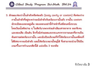 3. ลักษณะช่องว่างในลาตัวหรือช่องตัว (body cavity or coelom) คือช่องว่าง
ภายในลาตัวที่อยู่ระหว่างผนังลาตัวกับอวัยวะภายในตัว ภายใน coelom
มักจะมีของเหลวอยู่เต็ม ของเหลวเหล่านี้ทาหน้าที่เสมือนหนึ่งระบบ
ไหลเวียนโลหิตง่าย ๆ ในสัตว์บางพวกช่วยลาเลียงสารอาหาร ออกซิเจน
และของเสีย เป็นต้น อีกทั้งยังช่วยลดแรงกระแทกจากภายนอกที่อาจเป็น
อันตรายต่ออวัยวะภายใน และยังเป็นบริเวณที่ทาให้อวัยวะภายในเคลื่อนที่
ได้อิสระจากผนังลาตัว ยอมให้อวัยวะขยายใหญ่ได้ ซึ่งสามารถนามาใช้เป็น
เกณฑ์ในการจาแนกสัตว์ได้ แบ่งเป็น 3 พวกคือ
ชีววิทยาเข้ม 3
 