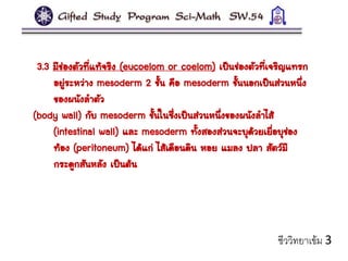 3.3 มีช่องตัวที่แท้จริง (eucoelom or coelom) เป็นช่องตัวที่เจริญแทรก
อยู่ระหว่าง mesoderm 2 ชั้น คือ mesoderm ชั้นนอกเป็นส่วนหนึ่ง
ของผนังลาตัว
(body wall) กับ mesoderm ชั้นในซึ่งเป็นส่วนหนึ่งของผนังลาไส้
(intestinal wall) และ mesoderm ทั้งสองส่วนจะบุด้วยเยื่อบุช่อง
ท้อง (peritoneum) ได้แก่ ไส้เดือนดิน หอย แมลง ปลา สัตว์มี
กระดูกสันหลัง เป็นต้น
ชีววิทยาเข้ม 3
 