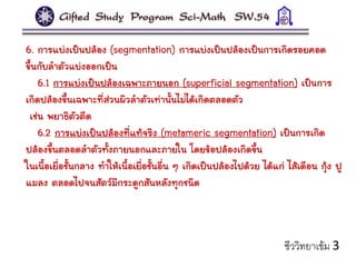 6. การแบ่งเป็นปล้อง (segmentation) การแบ่งเป็นปล้องเป็นการเกิดรอยคอด
ขึ้นกับลาตัวแบ่งออกเป็น
6.1 การแบ่งเป็นปล้องเฉพาะภายนอก (superficial segmentation) เป็นการ
เกิดปล้องขึ้นเฉพาะที่ส่วนผิวลาตัวเท่านั้นไม่ได้เกิดตลอดตัว
เช่น พยาธิตัวตืด
6.2 การแบ่งเป็นปล้องที่แท้จริง (metameric segmentation) เป็นการเกิด
ปล้องขึ้นตลอดลาตัวทั้งภายนอกและภายใน โดยข้อปล้องเกิดขึ้น
ในเนื้อเยื่อชั้นกลาง ทาให้เนื้อเยื่อชั้นอื่น ๆ เกิดเป็นปล้องไปด้วย ได้แก่ ไส้เดือน กุ้ง ปู
แมลง ตลอดไปจนสัตว์มีกระดูกสันหลังทุกชนิด
ชีววิทยาเข้ม 3
 