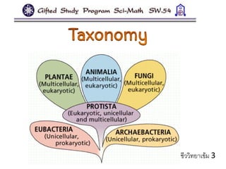 ชีววิทยาเข้ม 3
 