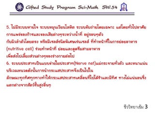 5. ไม่มีระบบหายใจ ระบบหมุนเวียนโลหิต ระบบขับถ่ายโดยเฉพาะ แต่โดยทั่วไปอาศัย
การแพร่ของก๊าซและของเสียต่างๆระหว่างน้าที่ อยู่รอบๆตัว
กับผิวลาตัวโดยตรง หรือมีเซลล์ชนิดพิเศษเช่นเซลล์ ที่ทาหน้าที่ในการย่อยอาหาร
(nutritive cell) ช่วยทาหน้าที่ ย่อยและดูดซึมสามอาหาร
เพื่อส่งไปเลี้ยงส่วนต่างๆของร่างกายต่อไป
6. ระบบประสาทเป็นแบบข่ายใยประสาท(Nerve net)แผ่กระจายทั่วตัว และหนาแน่น
บริเวณหนวดดังนั้นการนากระแสประสาทจึงเป็นไปใน
ลักษณะทุกทิศทุกทางทาให้กระแสประสาทเคลื่อนที่ไปได้ช้าและมีทิศ ทางไม่แน่นอนซึ่ง
แตกต่างจากสัตว์ชั้นสูงอื่นๆ
ชีววิทยาเข้ม 3
 