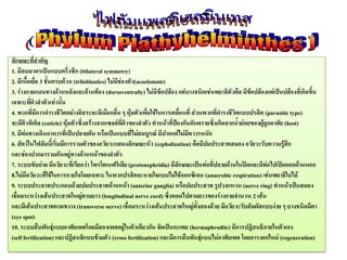 ลักษณะที่สาคัญ
1. มีสมมาตรเป็นแบบครึ่งซีก (bilateral symmetry)
2. มีเนื้อเยื่อ 3 ชั้นครบถ้วน (triloblastics) ไม่มีช่องตัว(acoelomate)
3. ร่างกายแบนทางด้านหลังและด้านท้อง (dorsoventrally) ไม่มีข้อปล้อง แต่บางชนิดเช่นพยาธิตัวตืด มีข้อปล้องแต่เป็นปล้องที่เกิดขึ้น
เฉพาะที่ผิวลาตัวเท่านั้น
4. พวกที่มีการดารงชีวิตอย่างอิสระจะมีเมือกลื่น ๆ หุ้มตัวเพื่อใช้ในการเคลื่อนที่ ส่วนพวกที่ดารงชีวิตแบบปรสิต (parasitic type)
จะมีคิวทิเคิล (cuticle) หุ้มตัวซึ่งสร้างจากเซลล์ที่ผิวของลาตัว ทาหน้าที่ป้องกันอันตรายซึ่งเกิดจากน้าย่อยของผู้ถูกอาศัย (host)
5. มีท่อทางเดินอาหารที่เป็นปลายตัน หรือเป็นแบบที่ไม่สมบูรณ์ มีปากแต่ไม่มีทวารหนัก
6. สัตว์ในไฟลัมนี้เริ่มมีการรวมตัวของอวัยวะแสดงลักษณะหัว (cephalization) คือมีปมประสาทสมอง อวัยวะรับความรู้สึก
และช่องปากมารวมกันอยู่ทางด้านหน้าของลาตัว
7. ระบบขับถ่าย มีอวัยวะที่เรียกว่า โพรโตเนฟริเดีย (protonephridia) มีลักษณะเป็นท่อที่ปลายด้านในปิดและมีท่อไปเปิดออกด้านนอก
8.ไม่มีอวัยวะที่ใช้ในการหายใจโดยเฉพาะ ในพวกปรสิตจะหายใจแบบไม่ใช้ออกซิเจน (anaerobic respiration) เช่นพยาธิใบไม้
9. ระบบประสาทประกอบด้วยปมประสาทด้านหน้า (anterior ganglia) หรือปมประสาท รูปวงแหวน (nerve ring) ทาหน้าเป็นสมอง
เชื่อมระหว่างเส้นประสาทใหญ่ตามยาว (longitudinal nerve cord) ซึ่งทอดไปตามยาวของร่างกายจานวน 2 เส้น
และมีเส้นประสาทตามขวาง (transverse nerve) เชื่อมระหว่างเส้นประสาทใหญ่ทั้งสองด้วย มีอวัยวะรับสัมผัสแบบง่าย ๆ บางชนิดมีตา
(eye spot)
10. ระบบสืบพันธุ์แบบอาศัยเพศโดยมีสองเพศอยู่ในตัวเดียวกัน จัดเป็นกะเทย (hermaphrodite) มีการปฏิสนธิภายในตัวเอง
(self fertilization) และปฏิสนธิแบบข้ามตัว (cross fertilization) และมีการสืบพันธุ์แบบไม่อาศัยเพศ โดยการงอกใหม่ (regeneration)
 