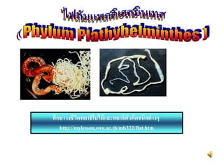 ศึกษาวงชีวิตพยาธิใบไม้และพยาธิตัวตืดชนิดต่างๆ
http://mylesson.swu.ac.th/mb322/flat.htm
 