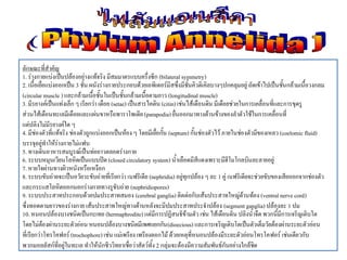 ลักษณะที่สาคัญ
1. ร่างกายแบ่งเป็นปล้องอย่างแท้จริง มีสมมาตรแบบครึ่งซีก (bilateral symmetry)
2. เนื้อเยื่อแบ่งออกเป็น 3 ชั้น ผนังร่างกายประกอบด้วยเอพิเดอร์มิสซึ่งมีชั้นคิวติเคิลบางๆปกคลุมอยู่ ถัดเข้าไปเป็นชั้นกล้ามเนื้อวงกลม
(circular muscle ) และกล้ามเนื้อชั้นในเป็นชั้นกล้ามเนื้อตามยาว (longitudinal muscle)
3. มีรยางค์เป็นแท่งเล็ก ๆ เรียกว่า เดือย (setae) เป็นสารไคติน (citin) เช่นไส้เดือนดิน มีเดือยช่วยในการเคลื่อนที่และการขุดรู
ส่วนไส้เดือนทะเลมีเดือยและแผ่นขาหรือพาราโพเดีย (parapodia) ยื่นออกมาทางด้านข้างของลาตัวใช้ในการเคลื่อนที่
แต่ปลิงไม่มีรยางค์ใด ๆ
4. มีช่องตัวที่แท้จริง ช่องตัวถูกแบ่งออกเป็นห้อง ๆ โดยมีเยื่อกั้น (septum) กั้นช่องตัวไว้ ภายในช่องตัวมีของเหลว (coelomic fluid)
บรรจุอยู่ทาให้ร่างกายไม่แฟบ
5. ทางเดินอาหารสมบูรณ์เป็นท่อยาวตลอดร่างกาย
6. ระบบหมุนเวียนโลหิตเป็นแบบปิด (closed circulatory system) น้าเลือดมีสีแดงเพราะมีฮีโมโกลบินละลายอยู่
7. หายใจผ่านทางผิวหนังหรือเหงือก
8. ระบบขับถ่ายจะเป็นอวัยวะขับถ่ายที่เรียกว่า เนฟริเดีย (nephridia) อยู่ทุกปล้อง ๆ ละ 1 คู่ เนฟริเดียจะช่วยขับของเสียออกจากช่องตัว
และกระแสโลหิตออกนอกร่างกายทางรูขับถ่าย (nephridiopores)
9. ระบบประสาทประกอบด้วยปมประสาทสมอง (cerebral ganglia) ติดต่อกับเส้นประสาทใหญ่ด้านท้อง (ventral nerve cord)
ซึ่งทอดตามยาวของร่างกาย เส้นประสาทใหญ่ทางด้านหลังจะมีปมประสาทประจาปล้อง (segment ganglia) ปล้องละ 1 ปม
10. หนอนปล้องบางชนิดเป็นกะเทย (hermaphrodite) แต่มีการปฏิสนธิข้ามตัว เช่น ไส้เดือนดิน ปลิงน้าจืด พวกนี้มีการเจริญเติบโต
โดยไม่ต้องผ่านระยะตัวอ่อน หนอนปล้องบางชนิดมีเพศแยกกัน(dioecious) และการเจริญเติบโตเป็นตัวเต็มวัยต้องผ่านระยะตัวอ่อน
ที่เรียกว่าโทรโคฟอร์ (trochophore) เช่น แม่เพรียง เพรียงดอกไม้ ด้วยเหตุที่หนอนปล้องมีระยะตัวอ่อนโทรโคฟอร์ เช่นเดียวกับ
พวกมอลลัสก์ที่อยู่ในทะเล ทาให้นักชีววิทยาเชื่อว่าสัตว์ทั้ง 2 กลุ่มจะต้องมีความสัมพันธ์กันอย่างใกล้ชิด
 