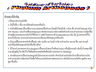 ลักษณะที่สาคัญ
1.มีสมมาตรแบบผ่าซีก
2. มีเนื้อเยื่อ 3 ชั้น และมีช่องตัวแบบแท้งจริง
3. ลาตัวมีลักษณะเป็นปล้อง และแบ่งออกเป็นส่วนๆโดยทั่วไปแล้วมี 3 ส่วน คือ ส่วนหัว(Head) ส่วน
อก( Thorax) และส่วนท้อง(Abdomen) เช่นพวกแมลง แต่บางชนิดส่วนหัวและส่วนอกจะรวมกันเป็น
ส่วนเดียวแยกออกจากกันไม่ได้เรียกว่า เซฟาโลทอแรกซ์ (Cephalothorax) เช่น กุ้ง ปู นอกจากนี้ใน
พวกกิ้งกือและ ตะขาบส่วนของอกและท้องจะมีลักษณะเหมือนกัน
4. มีรยางค์ยื่นออกจากลาตัวเป็นคู่ๆ เช่น ขาเดิน ขาว่ายน้า อวัยวะส่วนปาก หนวด ปีก และรยางค์
เหล่านี้มักมีลักษณะต่อกันเป็นข้อๆด้วย
5. มีโครงร่างภายนอก (Exoskeleton) เป็นสารจาพวกไคทิน(Chitin) แข็งหุ้มรอบตัว ดังนั้นในขณะที่มี
การเจริญเติบโต สัตว์ในไฟลัมนี้หลายชนิดจึงต้องมีการลอกคราบ (Molting)
6. ทางเดินอาหารเป็นแบบสมบูรณ์ มีปากและทวารหนัก สาหรับส่วนปากมีอวัยวะที่ช่วยในการกิน
อาหารและมีการดัดแปลงไปเพื่อให้เหมาะสมกับสภาพของอาหาร เช่นมีปากแบบกัดกิน ดูดกิน เจาะ
ดูด เป็นต้น
 