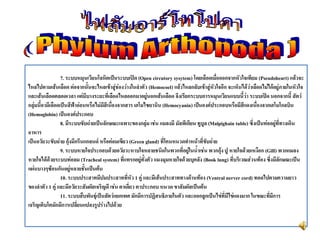 7. ระบบหมุนเวียนโลหิตเป็นระบบเปิด (Open circutory sysytem) โดยเลือดเมื่อออกจากหัวใจเทียม (Pseudoheart) แล้วจะ
ไหลไปตามเส้นเลือด ต่อจากนั้นจะไหลเข้าสู่ช่องว่างในลาตัว (Hemocoel) แล้วไหลกลับเข้าสู่หัวใจอีก จะเห็นได้ว่าเลือดไม่ได้อยู่ภายในหัวใจ
และเส้นเลือดตลอดเวลา แต่มีบางระยะที่เลือดไหลออกมาอยู่นอกเส้นเลือด จึงเรียกระบบการหมุนเวียนแบบนี้ว่า ระบบเปิด นอกจากนี้ สัตว์
กลุ่มนี้อามีเลือดเป็นสีฟ้าอ่อนหรือไม่มีสีเนื่องจากสาร เฮโมไซยานิน (Hemocyanin) เป็นองค์ประกอบหรือมีสีแดงเนื่องจากเฮโมโกลบิน
(Hemoglobin) เป็นองค์ประกอบ
8. มีระบบขับถ่ายเป็นลักษณะเฉพาะของกลุ่ม เช่น แมลงมี มัลพีเกียน ทูบูล (Malpighain tuble) ซึ่งเป็นท่ออยู่ที่ทางเดิน
อาหาร
เป็นอวัยวะขับถ่าย กุ้งมีกรีนแกลนด์ หรือต่อมเขียว (Green gland) ที่โคนหนวดทาหน้าที่ขับถ่าย
9. ระบบหายใจประกอบด้วยอวัยวะหาบใจหลายชนิดในพวกที่อยู่ในน้าเช่น พวกกุ้งปู หายใจด้วยเหงือก (Gill) พวกแมลง
หายใจได้ด้วยระบบท่อลม (Tracheal system) ที่แทรกอยู่ทั้งตัว แมงมุมหายใจด้วยบุคลัง (Book lung) ที่บริเวณส่วนท้อง ซึ่งมีลักษณะเป็น
แผ่นบางๆซ้อนกันอยู่หลายชั้นเป็นต้น
10. ระบบประสาทมีปมประสาทที่หัว 1 คู่ และมีเส้นประสาททางด้านท้อง (Ventral nerver cord) ทอดไปตามความยาว
ของลาตัว 1 คู่ และมีอวัยวะสัมผัสเจริญดี เช่น ตาเดี่ยว ตาประกอบ หนวด ขาสัมผัสเป็นต้น
11. ระบบสืบพันธุ์เป็นสัตว์แยกเพศ มักมีการปฏิสนธิภายในตัว และออกลูกเป็นไข่ที่มีไข่แดงมาก ในขณะที่มีการ
เจริญเติบโตมักมีการเปลี่ยนแปลงรูปร่างไปด้วย
 