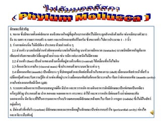 ลักษณะที่สาคัญ
1. ขนาด ซึ่งมีขนาดตั้งแต่เล็กมาก จนถึงขนาดใหญ่ที่สุดในบรรดาสัตว์ไม่มีกระดูกสันหลังด้วยกัน เช่นหมึกบางตัวยาว
ถึง 16 เมตร ความยาวรอบตัว 6 เมตร และหนักหลายพันกิโลกรัม ซึ่งขนาดทั่ว ไปยาวประมาณ 1 – 3 นิ้ว
2. ร่างกายอ่อนนิ่ม ไม่มีปล้อง ประกอบ ด้วยส่วนต่าง ๆ
2.1 ส่วนหัว บางชนิดมีส่วนหัวชัดเจนแต่บางชนิดไม่เจริญ บนหัวอาจมีหนวด (tentacles) บางชนิดมีตาเจริญดีมาก
เทียบเท่ากับตาของสัตว์เลี้ยงลูกด้วยน้านม เช่น หมึก แต่บางชนิดไม่มีตาเลย
2.2 ส่วนเท้า (foot) เป็นส่วนของกล้ามเนื้อที่อยู่ทางด้านท้อง (ventral) ใช้เคลื่อนที่หรือไชดิน
2.3 ก้อนอวัยวะภายใน (visceral mass) ซึ่งประกอบด้วยระบบอวัยวะต่าง ๆ
2.4 เยื่อแมนเทิล (mantle) เป็นเยื่อบาง ๆ ที่ปกคลุมตัวและติดต่อพื้นด้านในของกาบ (shell) เยื่อแมนเทิลทาหน้าที่สร้าง
เปลือกหุ้มตัวและรับความรู้สึก ส่วนช่องที่อยู่ระหว่างเยื่อแมนเทิลกับก้อนอวัยวะภายใน เรียกว่าช่องแมนเทิล (mantle cavity)
ภายในช่องแมนเทิลมีเงือก (gill)
3. ระบบทางเดินอาหารเป็นแบบสมบูรณ์คือ มีปาก และทวารหนัก ทางเดินอาหารมักมีลักษณะเป็นท่อขดเป็นเกลียว
หรือรูปตัวยู ประกอบด้วย ปาก คอหอย หลอดอาหาร กระเพาะ ลาไส้ และทวารหนัก มีต่อมสร้างน้าย่อยและตับ
นอกจากนั้น มีอวัยวะที่ใช้ในการบดอาหารในบริเวณคอหอยมีลักษณะคล้ายตะไบ เรียกว่า แรดูลา (radula) ซึ่งไม่มีในสัตว์
กลุ่มอื่นๆ
4. มีช่องตัวที่แท้จริง (coelom) มีลักษณะลดลงมากเหลืออยู่ในลักษณะเป็นช่องรอบหัวใจ (pericardial cavity) ช่องไต
และอวัยวะสืบพันธุ์
 