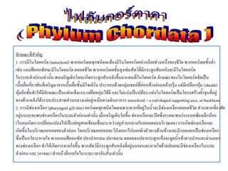 ลักษณะที่สาคัญ
1. การมีโนโตคอร์ด (notochord) พวกคอร์เดตทุกชนิดจะต้องมีโนโตคอร์ดอย่างน้อยช่วงหนึ่งของชีวิต พวกคอร์เดตชั้นต่า
เช่น แอมฟิออกซัสจะมีโนโตคอร์ด ตลอดชีวิต พวกคอร์เดตชั้นสูงเช่นสัตว์ที่มีกระดูกสันหลังจะมีโนโตคอร์ด
ในระยะตัวอ่อนเท่านั้น พอเจริญเติบโตจะเกิดกระดูกสันหลังขึ้นมาแทนที่โนโตคอร์ด ลักษณะของโนโตคอร์ดจัดเป็น
เนื้อเยื่อเกี่ยวพันที่เจริญมาจากเนื้อเยื่อชั้นมีโซเดิร์ม ประกอบด้วยกลุ่มเซลล์ที่ค่อนข้างอ่อนคล้ายวุ้น แต่มีเปลือกหุ้ม (sheath)
หุ้มอีกชั้นทาให้มีลักษณะเป็นแท่งแข็งแรง แต่ยืดหยุ่นได้ดี และไม่แบ่งเป็นปล้อง แท่งโนโตคอร์ดเป็นโครงสร้างค้าจุนที่อยู่
ทางด้านหลังใต้ระบบประสาทส่วนกลางแต่อยู่เหนือทางเดินอาหาร notochord = a rod-shaped supporting axis, or backbone
2. การมีช่องเหงือก (pharyngeal gill slits) คอร์เดตทุกชนิดโดยเฉพาะพวกที่อยู่ในน้าจะมีช่องเหงือกตลอดชีวิต ส่วนพวกที่อาศัย
อยู่บนบกจะพบช่องเหงือกในระยะตัวอ่อนเท่านั้น เมื่อเจริญเติบโตขึ้น ช่องเหงือกจะปิดซึ่งอาจจะพบร่องรอยเพียงเล็กน้อย
(ในคนเกิดการเปลี่ยนแปลงไปเป็นท่อยูสเตเชียนเชื่อมระหว่างหูส่วนกลางกับหลอดลมบริเวณคอ) การเกิดช่องเหงือกจะ
เกิดขึ้นในบริเวณคอหอยของตัวอ่อน โดยบริเวณคอหอยจะโป่งออกไปนอกผิวตัวทางด้านข้างและมีรอยแตกเป็นช่องเหงือก
ซึ่งเป็นอวัยวะหายใจ พวกแอมฟิออกซัส ปลาปากกลม ปลาฉลาม ตลอดจนปลากระดูกแข็งจะดูดน้าเข้าทางปากและผ่านออก
ทางช่องเหงือก ทาให้เกิดการหายใจขึ้น พวกสัตว์มีกระดูกสันหลังที่อยู่บนบกและหายใจด้วยปอดจะมีช่องเหงือกในระยะ
ตัวอ่อน และ (อาจจะ) ทาหน้าที่หายใจในระยะเวลาอันสั้นเท่านั้น
 
