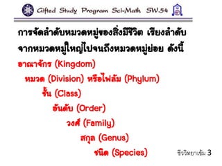 การจัดลาดับหมวดหมู่ของสิ่งมีชีวิต เรียงลาดับ
จากหมวดหมู่ใหญ่ไปจนถึงหมวดหมู่ย่อย ดังนี้
อาณาจักร (Kingdom)
หมวด (Division) หรือไฟลัม (Phylum)
ชั้น (Class)
อันดับ (Order)
วงศ์ (Family)
สกุล (Genus)
ชนิด (Species) ชีววิทยาเข้ม 3
 