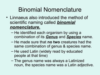 Binomial Nomenclature 
• Linnaeus also introduced the method of 
scientific naming called binomial 
nomenclature. 
– He identified each organism by using a 
combination of its Genus and Species name. 
– He made sure that no two creatures had the 
same combination of genus & species name. 
– He used Latin (widely read by educated 
people at that time) 
– The genus name was always a Latinized 
noun, the species name was a Latin adjective. 
 