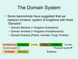 The Domain System 
• Some taxonomists have suggested that we 
replace Linnaeus’ system of kingdoms with three 
“Domains” 
...