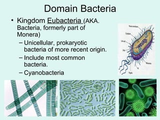 Domain Bacteria 
• Kingdom Eubacteria (AKA. 
Bacteria, formerly part of 
Monera) 
– Unicellular, prokaryotic 
bacteria of ...