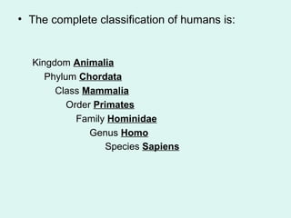 • The complete classification of humans is: 
Kingdom Animalia 
Phylum Chordata 
Class Mammalia 
Order Primates 
Family Hom...