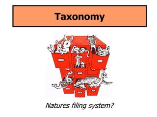 Taxonomy 
Natures filing system? 
 