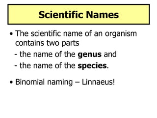 Taxonomy | PPT