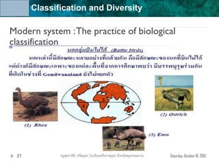 Unit 6: Classification and Diversity
Saturday, October 10, 2015ครูสุทธาทินี ศรีสมุทร โรงเรียนศรัทธาสมุทร จังหวัดสมุทรสงคราม21
Modern system :The practice of biological
classification
 