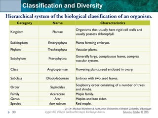 Unit 6: Classification and Diversity
Saturday, October 10, 2015ครูสุทธาทินี ศรีสมุทร โรงเรียนศรัทธาสมุทร จังหวัดสมุทรสงคราม30
Category Name Characteristics
Kingdom Plantae
Organisms that usually have rigid cell walls and
usually possess chlorophyll.
Subkingdom Embryophyta Plants forming embryos.
Phylum Tracheophyta Vascular plants.
Subphylum Pterophytina
Generally large, conspicuous leaves, complex
vascular system.
Class Angiospermae Flowering plants, seed enclosed in ovary.
Subclass Dicotyledoneae Embryo with two seed leaves.
Order Sapindales
Soapberry order consisting of a number of trees
and shrubs.
Family Aceraceae Maple family.
Genus Acer Maples and box elder.
Species Acer rubrum Red maple.
Cr: Dr. Michael Pidwirny & Scott Jones University of British Columbia Okanagan
 