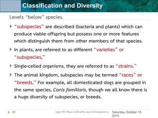 Unit 6: Classification and Diversity
Levels “below” species.
31
 “subspecies” are described (bacteria and plants) which can
produce viable offspring but possess one or more features
which distinguish them from other members of that species.
 In plants, are referred to as different “varieties” or
“subspecies,”
 Single-celled organisms, they are referred to as “strains.”
 The animal kingdom, subspecies may be termed “races” or
“breeds.” For example, all domesticated dogs are grouped in
the same species, Canis familiaris, though we all know there is
a huge diversity of subspecies, or breeds.
Saturday, October 10,
2015
ครูสุทธาทินี ศรีสมุทร โรงเรียนศรัทธาสมุทร จังหวัดสมุทรสงคราม
 