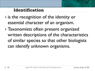 Unit 6: Classification and Diversity
Identification
 is the recognition of the identity or
essential character of an organism.
 Taxonomists often present organized
written descriptions of the characteristics
of similar species so that other biologists
can identify unknown organisms.
Saturday, October 10, 201535 ครูสุทธาทินี ศรีสมุทร โรงเรียนศรัทธาสมุทร จังหวัดสมุทรสงคราม
 