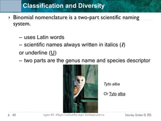 Unit 6: Classification and Diversity
 Binomial nomenclature is a two-part scientific naming
system.
– uses Latin words
– scientific names always written in italics ( )
or underline (U)
– two parts are the genus name and species descriptor
Tyto alba
Or Tyto alba
Saturday, October 10, 201542 ครูสุทธาทินี ศรีสมุทร โรงเรียนศรัทธาสมุทร จังหวัดสมุทรสงคราม
 