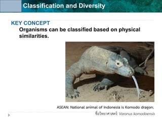 Unit 6: Classification and Diversity
KEY CONCEPT
Organisms can be classified based on physical
similarities.
ASEAN: National animal of Indonesia is Komodo dragon;
ชื่อวิทยาศาสตร์: Varanus komodoensis
 