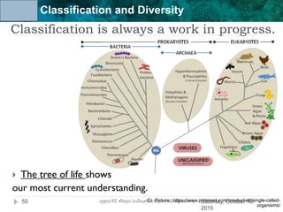 Unit 6: Classification and Diversity
Classification is always a work in progress.
 The tree of life shows
our most current understanding.
Cr. Picture : https://www.pinterest.com/roseluckett/single-celled-
organisms/
Saturday, October 10,
2015
55 ครูสุทธาทินี ศรีสมุทร โรงเรียนศรัทธาสมุทร จังหวัดสมุทรสงคราม
 