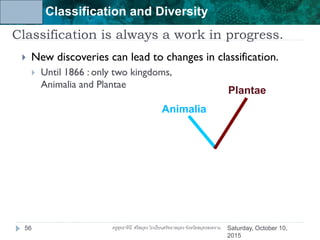 Unit 6: Classification and Diversity
Classification is always a work in progress.
 New discoveries can lead to changes in classification.
 Until 1866 : only two kingdoms,
Animalia and Plantae
Animalia
Plantae
Saturday, October 10,
2015
56 ครูสุทธาทินี ศรีสมุทร โรงเรียนศรัทธาสมุทร จังหวัดสมุทรสงคราม
 