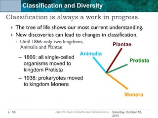 Unit 6: Classification and Diversity
Classification is always a work in progress.
 The tree of life shows our most current understanding.
 New discoveries can lead to changes in classification.
 Until 1866: only two kingdoms,
Animalia and Plantae
– 1938: prokaryotes moved
to kingdom Monera
– 1866: all single-celled
organisms moved to
kingdom Protista
Animalia
Protista
Plantae
Monera
Saturday, October 10,
2015
58 ครูสุทธาทินี ศรีสมุทร โรงเรียนศรัทธาสมุทร จังหวัดสมุทรสงคราม
 