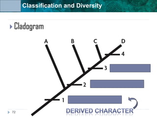 Unit 6: Classification and Diversity
 Cladogram
72
 