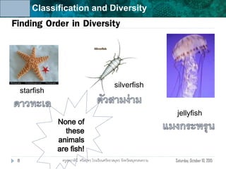 Unit 6: Classification and Diversity
Finding Order in Diversity
jellyfish
silverfish
starfish
Saturday, October 10, 20158 ครูสุทธาทินี ศรีสมุทร โรงเรียนศรัทธาสมุทร จังหวัดสมุทรสงคราม
 