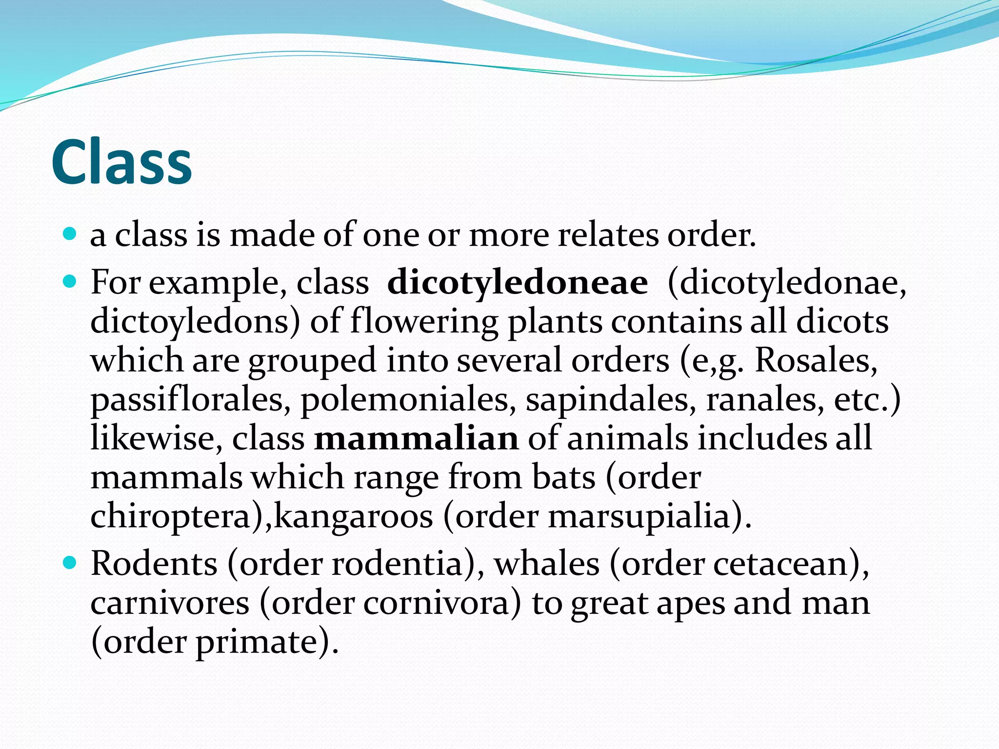 Class
 a class is made of one or more relates order.
 For example, class dicotyledoneae (dicotyledonae,
dictoyledons) of flowering plants contains all dicots
which are grouped into several orders (e,g. Rosales,
passiflorales, polemoniales, sapindales, ranales, etc.)
likewise, class mammalian of animals includes all
mammals which range from bats (order
chiroptera),kangaroos (order marsupialia).
 Rodents (order rodentia), whales (order cetacean),
carnivores (order cornivora) to great apes and man
(order primate).
 