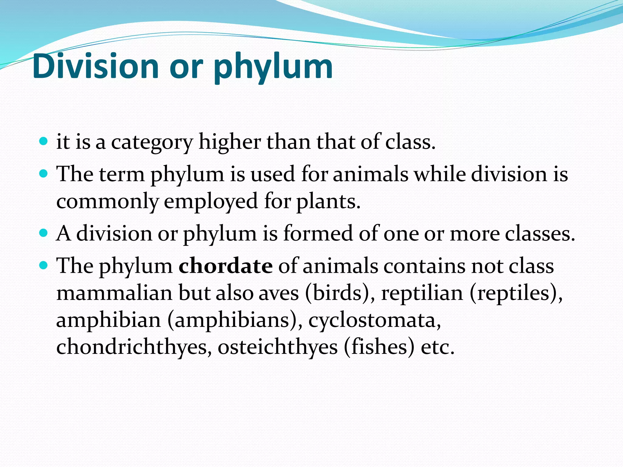 Division or phylum
 it is a category higher than that of class.
 The term phylum is used for animals while division is
commonly employed for plants.
 A division or phylum is formed of one or more classes.
 The phylum chordate of animals contains not class
mammalian but also aves (birds), reptilian (reptiles),
amphibian (amphibians), cyclostomata,
chondrichthyes, osteichthyes (fishes) etc.
 