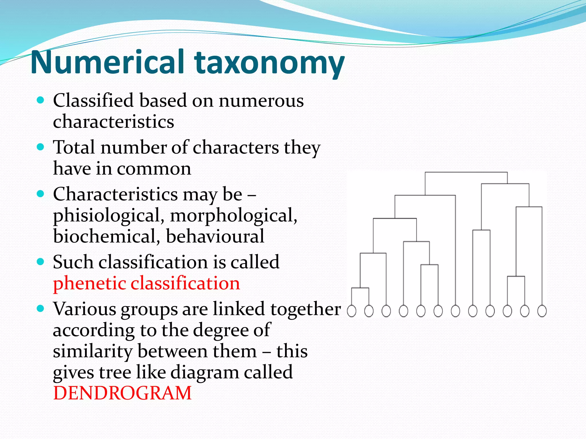 Numerical taxonomy
 Classified based on numerous
characteristics
 Total number of characters they
have in common
 Characteristics may be –
phisiological, morphological,
biochemical, behavioural
 Such classification is called
phenetic classification
 Various groups are linked together
according to the degree of
similarity between them – this
gives tree like diagram called
DENDROGRAM
 