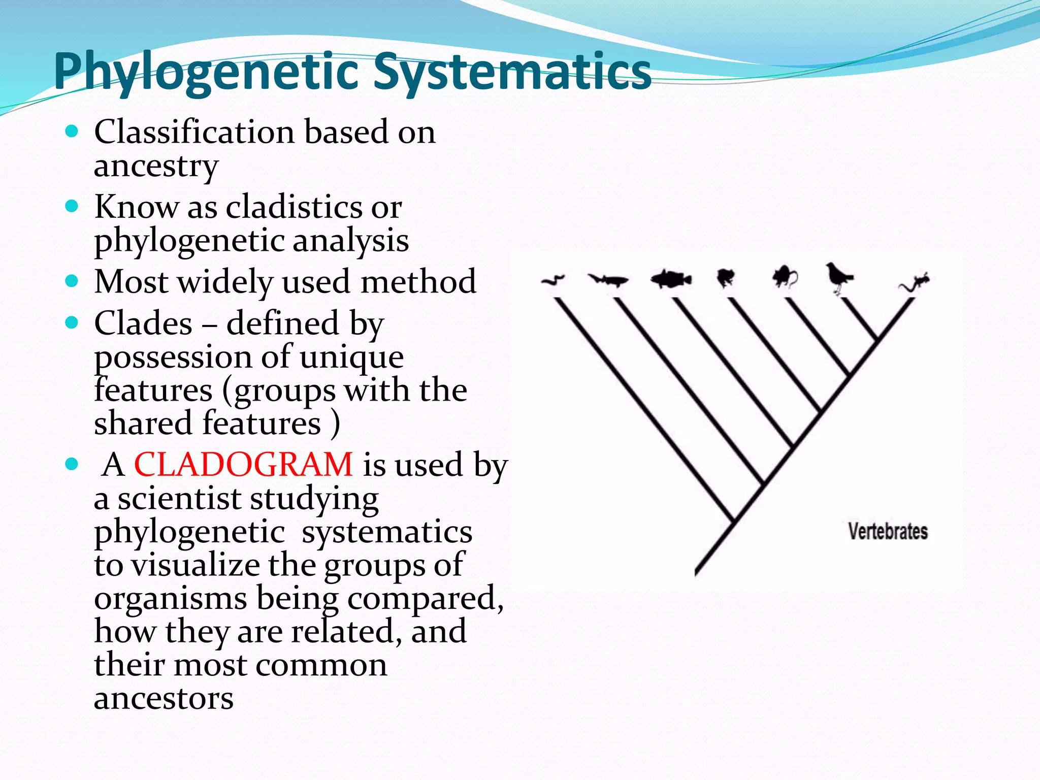 Phylogenetic Systematics
 Classification based on
ancestry
 Know as cladistics or
phylogenetic analysis
 Most widely used method
 Clades – defined by
possession of unique
features (groups with the
shared features )
 A CLADOGRAM is used by
a scientist studying
phylogenetic systematics
to visualize the groups of
organisms being compared,
how they are related, and
their most common
ancestors
 