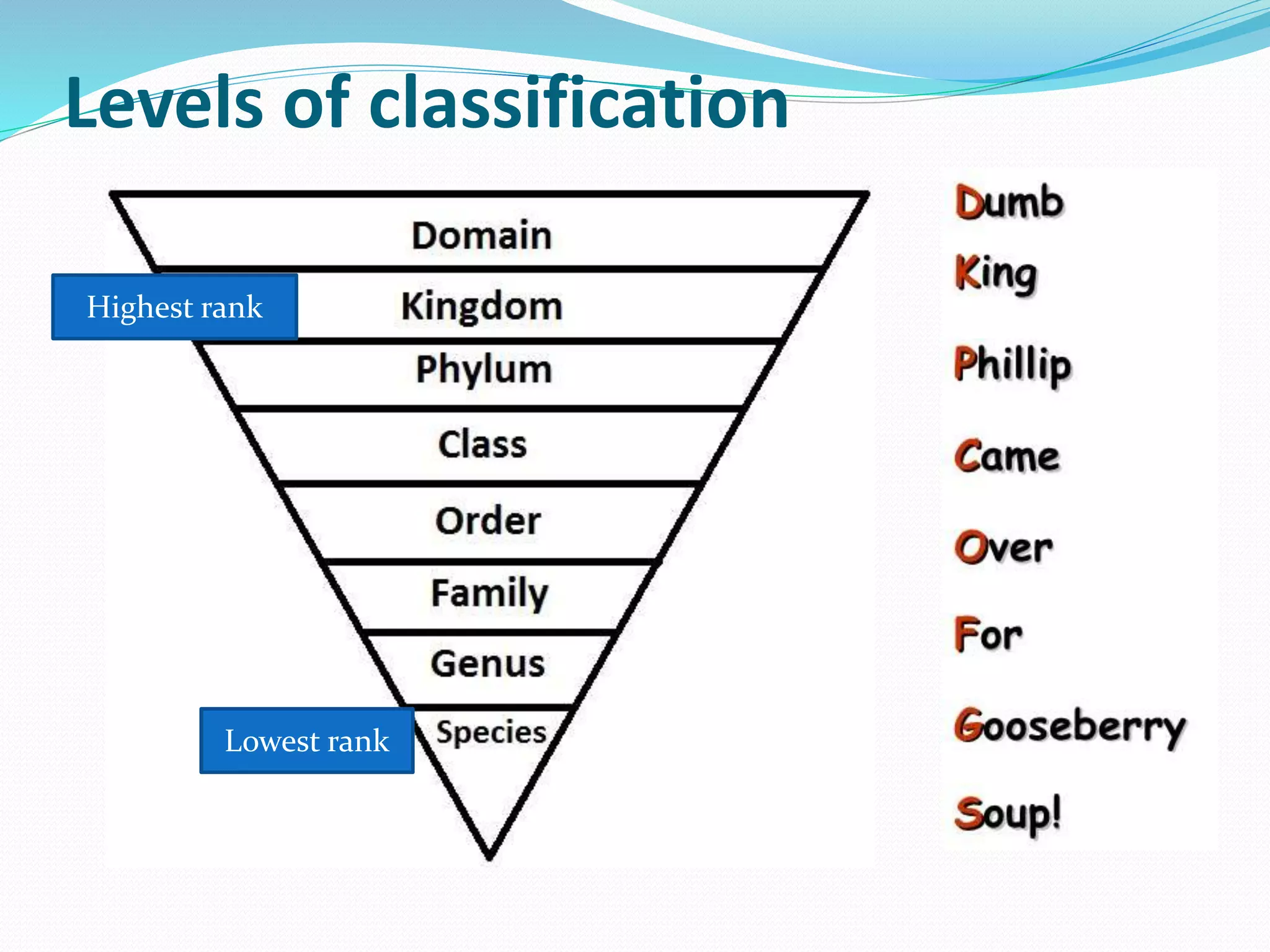 Taxonomy | PPT