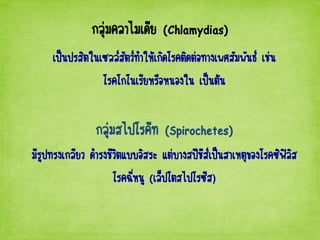 กลุ่มคลาไมเดีย (Chlamydias)
เป็นปรสิตในเซลล์สัตว์ทาให้เกิดโรคติดต่อทางเพศสัมพันธ์ เช่น
โรคโกโนเรียหรือหนองใน เป็นต้น
กลุ่มสไปโรคีท (Spirochetes)
มีรูปทรงเกลียว ดารงชีวิตแบบอิสระ แต่บางสปีชีส์เป็นสาเหตุของโรคซิฟิลิส
โรคฉี่หนู (เล็ปโตสไปโรซีส)
 