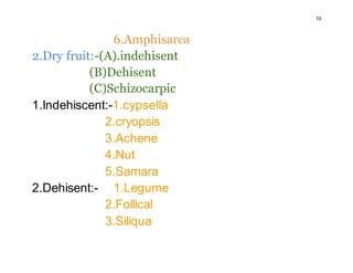 10
6.Amphisarca
2.Dry fruit:-(A).indehisent
(B)Dehisent
(C)Schizocarpic
1.Indehiscent:-1.cypsella
2.cryopsis
3.Achene
4.Nut
5.Samara
2.Dehisent:- 1.Legume
2.Follical
3.Siliqua
 