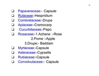 12
❏ Papaveraceae:- Capsule
❏ Rutaceae:-Hespridium
❏ Combretaceae:-Drupe
❏ Apiaceae:-Cremocarp
❏ Cucurbitaceae:-Pepo
❏ Rosaceae:-1.Achene :-Rose
2.Pome :-Apple
3.Drupe:- Baddam
❏ Myrtaceae:-Capsule
❏ Asteraceae:-Cypsella
❏ Rubiaceae:-Capsule
❏ Convolvulaceae:- Capsule
 