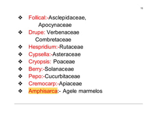 15
❖ Follical:-Asclepidaceae,
Apocynaceae
❖ Drupe: Verbenaceae
Combretaceae
❖ Hespridium:-Rutaceae
❖ Cypsella:-Asteraceae
❖ Cryopsis: Poaceae
❖ Berry:-Solanaceae
❖ Pepo:-Cucurbitaceae
❖ Cremocarp:-Apiaceae
❖ Amphisarca:- Agele marmelos
 