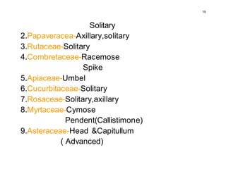 19
Solitary
2.Papaveracea-Axillary,solitary
3.Rutaceae-Solitary
4.Combretaceae-Racemose
Spike
5.Apiaceae-Umbel
6.Cucurbitaceae-Solitary
7.Rosaceae-Solitary,axillary
8.Myrtaceae-Cymose
Pendent(Callistimone)
9.Asteraceae-Head &Capitullum
( Advanced)
 