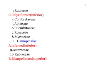3
3.Rutaceae
C.Calyciflorae:(inferior)
4.Combretaceae
5.Apiaceae
6.Cucurbitaceae
7.Rosaceae
8.Myrtaceae
❏ Gamopetalae:
A.inferae:(inferior)
9.Asteraceae
10.Rubiaceae
B.Bicarpellatae:(superior)
 