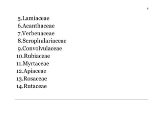 8
5.Lamiaceae
6.Acanthaceae
7.Verbenaceae
8.Scrophulariaceae
9.Convolvulaceae
10.Rubiaceae
11.Myrtaceae
12.Apiaceae
13.Rosaceae
14.Rutaceae
 