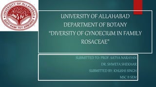 UNIVERSITY OF ALLAHABAD
DEPARTMENT OF BOTANY
“DIVERSITY OF GYNOECIUM IN FAMILY
ROSACEAE”
SUBMITTED TO: PROF. SATYA NARAYAN
DR. SHWETA SHEKHAR
SUBMITTED BY: KHUSHI SINGH
MSC II SEM
 