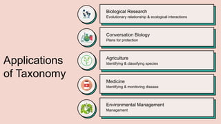 Taxonomy.pptx