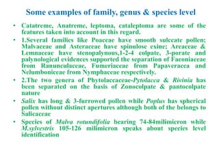 Some examples of family, genus & species level
• Catatreme, Anatreme, leptoma, cataleptoma are some of the
features taken into account in this regard.
• 1.Several families like Poaceae have smooth sulccate pollen;
Malvaceae and Asteraceae have spinulose exine; Areaceae &
Lemnaceae have stenopalynous,1-2-4 colpate, 3-porate and
palynological evidences supported the separation of Faeoniaceae
from Ranunculaceae, Fumeriaceae from Papaveracea and
Nelumboniceae from Nymphaceae respectively.
• 2.The two genera of Phytolaccaceae-Pytolacca & Rivinia has
been separated on the basis of Zonocolpate & pantocolpate
nature
• Salix has long & 3-furrowed pollen while Poplus has spherical
pollen without distinct apertures although both of the belongs to
Salicaceae
• Species of Malva rotundifolia bearing 74-84milimicron while
M.sylvestris 105-126 milimicron speaks about species level
identification
 