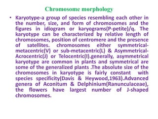 Chromosome morphology
• Karyotype-a group of species resembling each other in
the number, size, and form of chromosomes and the
figures in idiogram or karyograms(P-petite)/q. The
karyotype can be characterized by relative length of
chromosomes, position of centromere and the presence
of satellites. chromosomes either symmetrical-
metacentric(V) or sub-metacentric(L) & Asymmetrical-
Acrocentric(J) or Telocentric(I).generally, asymmetrical
karyotype are common in plants and symmetrical are
some of the generalized plants .The absolute size of the
chromosomes in karyotype is fairly constant with
species specificity(Davis & Heywood,1963).Advanced
genera of Aconitum & Delphinium(Ranunculaceae),
the flowers have largest number of J-shaped
chromosomes.
 